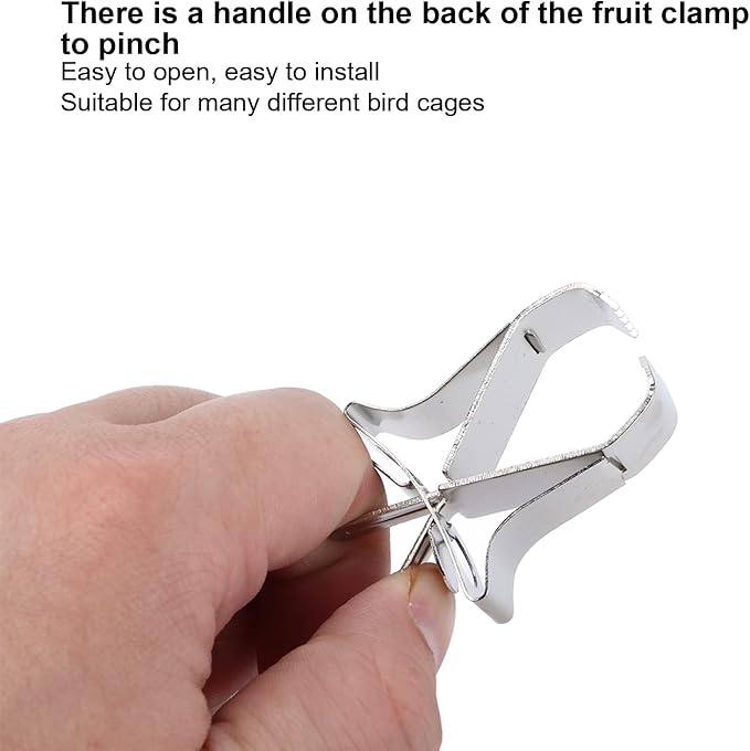 10 Pcs Bird Cage Seed Feeder Parrot Fruit Vegtable Clips, Stainless Steel Parrot Vegetables Feeder Clips for Bird Hamster Cockatiel Parro