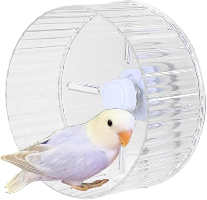 Bird Wheel Toy, Silent Parrot Exercise Wheel Interactive Rotating Toy for Small Medium Birds - Parakeets Cockatiels Conures Lovebirds Finches - Bird Cage Enrichment Accessory (L (8.3''D),Clear)