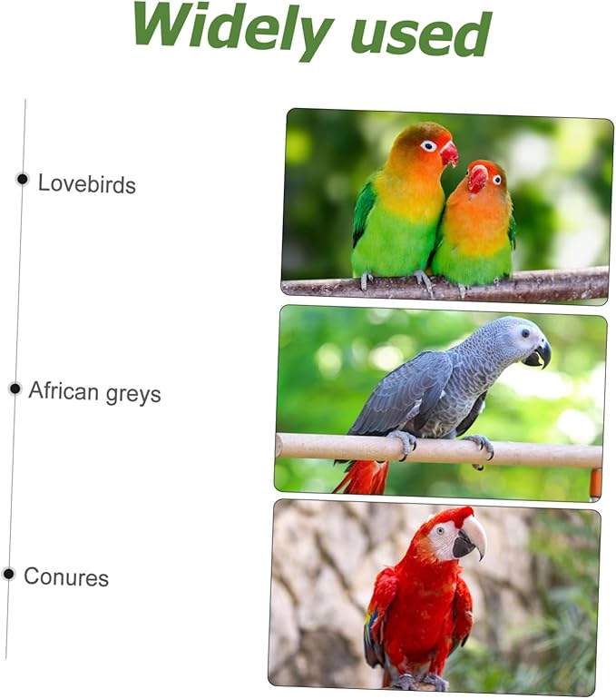 Bird Cage Stand Plastic Bird Perch- 10Pcs Cage Universal Plastic Stand Perches, Canary Finch Budgie Universal Standing Stick Parrot Standing Rods Budgie Perches