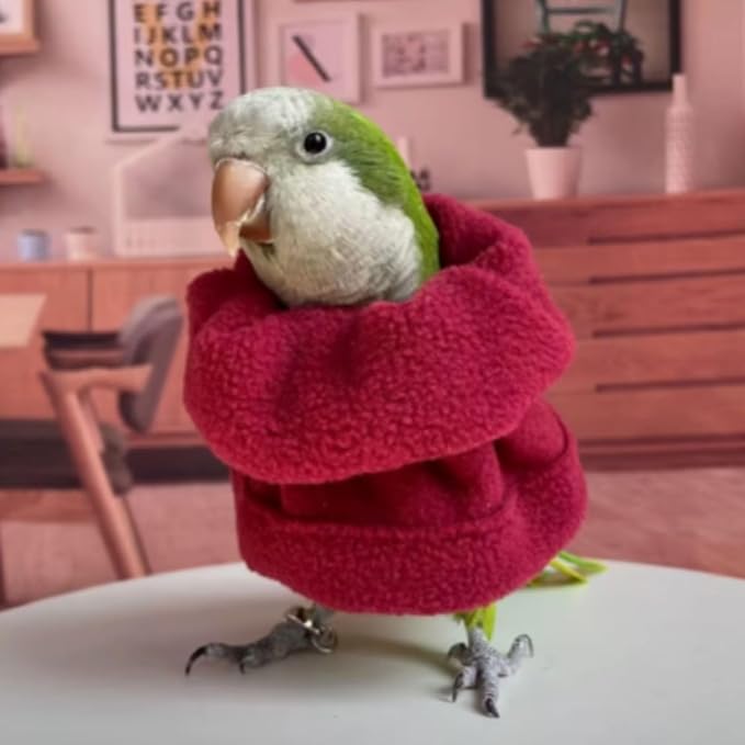 Bird Neck Collar Pet Parrot Anti-bite Picking Feather Healing Protective Neck Cover Collar for Lovebird Macaw Conure Cockatoo African Grey Random Color (2XL)