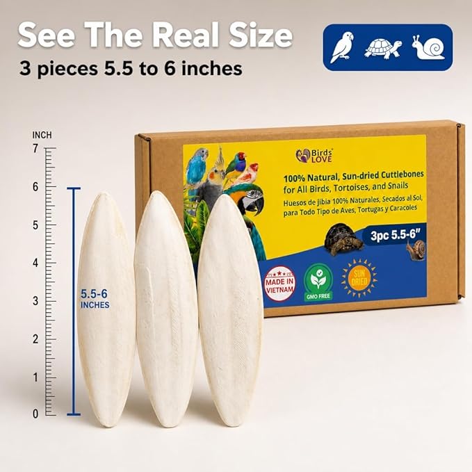 Birds LOVE 5.5-6″ Cuttlebone for Birds – 100% Natural Sun-Dried Calcium & Beak Conditioning Supplement for Parakeets, Budgies, Cockatiels, Finches & Canaries – 3 Pack with Holder – Made in Vietnam