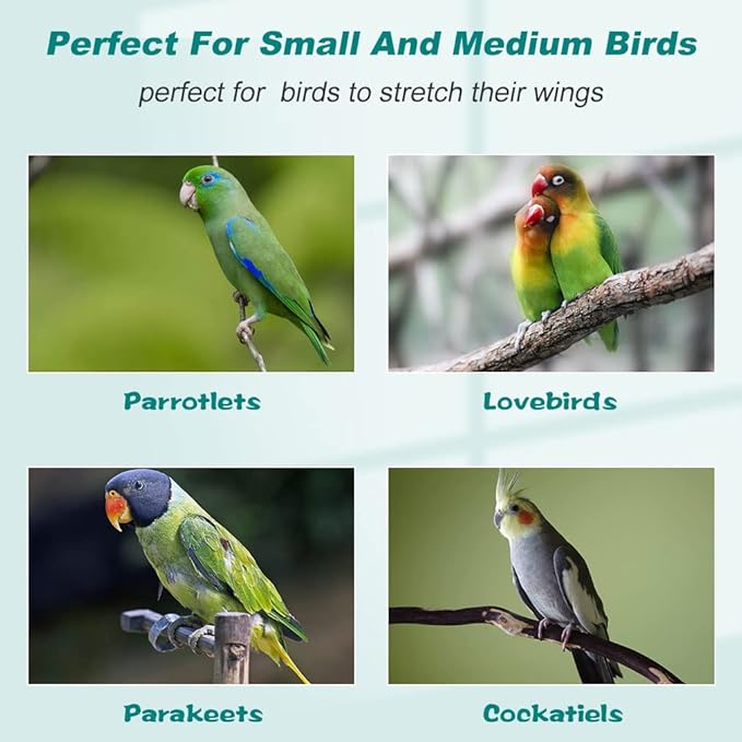 BestPet 64 inch Wrought Iron Bird Cage for Parakeets Medium Small Parrots Parakeet Cage with Detachable Rolling Stand & Play Open Top for Cockatiels Lovebird Finches Canaries,White