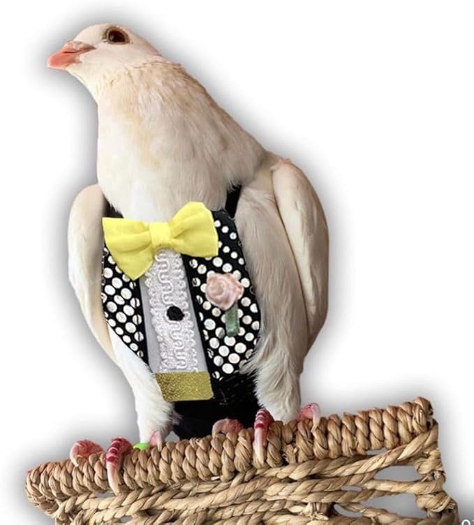 Bev's Bird Boutique Regular Flyper Adjustable Bird Diaper | Reusable, Washable Cloth | Comfort Fit for Parrot, Cockatiels, & Other Small Birds | Fashionable Avian Accessories, Retro Tux, Size 13