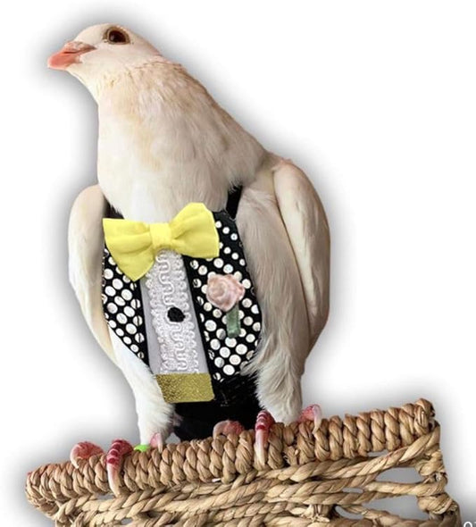 Bev's Bird Boutique Regular Flyper Adjustable Bird Diaper | Reusable, Washable Cloth | Comfort Fit for Parrot, Cockatiels, & Other Small Birds | Fashionable Avian Accessories, Retro Tux, Size 4