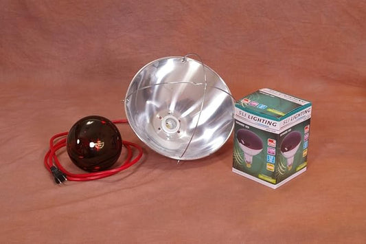 IncubatorWarehouse 250W Infrared Red Heat Lamp Light Bulb & Ceramic Base Brooder Lamp