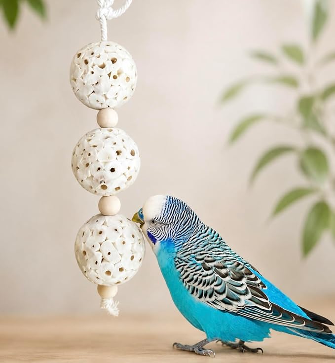 Shred and Destroy Bird Toy for Small Birds - Budgies, Lovebirds - Natural Sola Ball Hanging Chew Toy - 2 Pack - Boredom Buster Cage Toy
