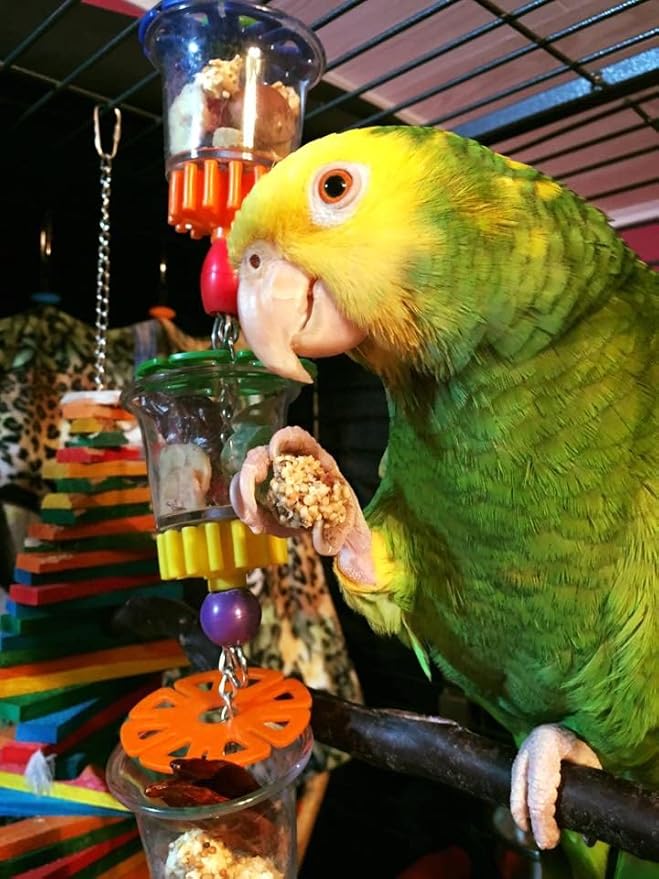 Super Bird Creations SB632 Foraging Bottom’s Up Bird Toy with Clear Acrylic Cups, Medium/Large Bird Size, 18” x 2.5”