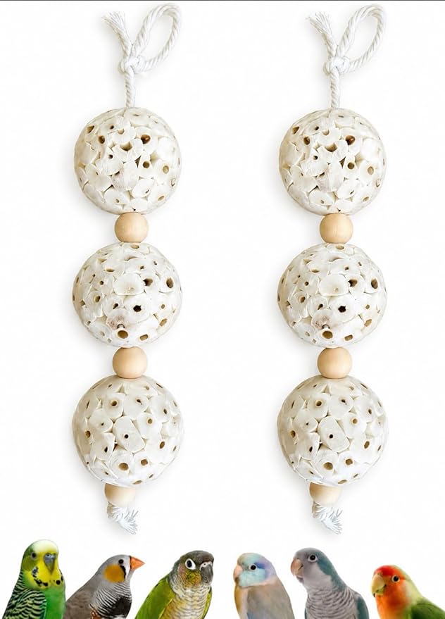 Shred and Destroy Bird Toy for Small Birds - Budgies, Lovebirds - Natural Sola Ball Hanging Chew Toy - 2 Pack - Boredom Buster Cage Toy