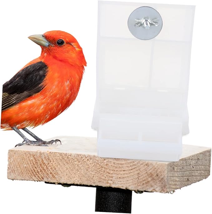 STOBOK 3pcs Automatic Bird Feeder Acrylic Parrot Food Box No- Bird Feeder Food Container Cage Accessories for Budgerigar Canary