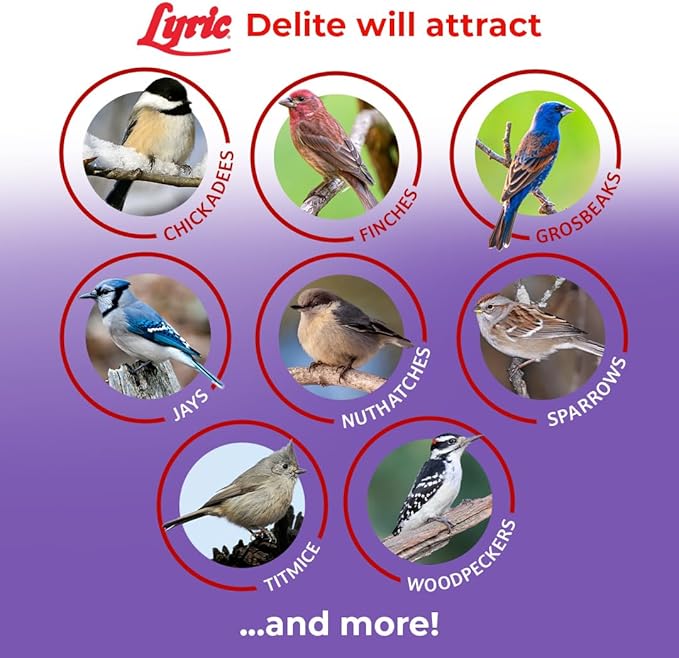 Lyric Delite Wild Bird Seed for Outside Feeders - No Waste Bird Food, Shell-Free Nuts & Seeds Mix, Attracts Buntings, Chickadees & Finches, 5 lb Bag