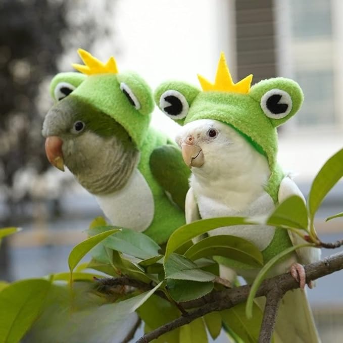 Bird Clothes Cosplay Photo Prop Frog Shape Hoodie, Bird Diaper Flight Suit, Small Animal Apparel for Parrots, Parakeet, Cockatiel, Sun Conure - Green, Small