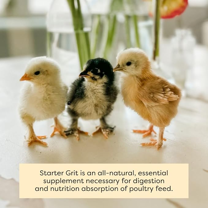 Scratch and Peck Starter Grit Supplement for Chickens and Ducks - 7 lbs Bag - Essential Supplement for Gizzard and Digestive Health - Sustainably Sourced