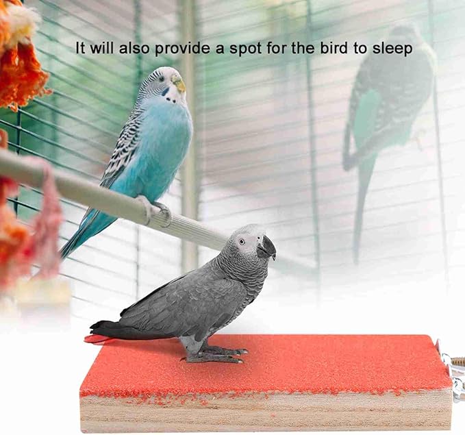 Wood Bird Perch Stand Platform Bird Cage Corner Shelf Grinding Clean Bird Playground for Hamster Squirrel Standing Sleeping Chewing (Red Short Side Screw)