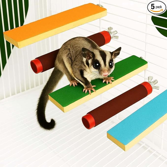 5 PCS Sugar Glider Toys Climbing Cage Steps with Colorful Sand Sharpening Claws Platform Novel 3D Printed Paw Grinding Parakeet Toys Bird perches Hamster Parrots Scratching Snadpaper for Cages