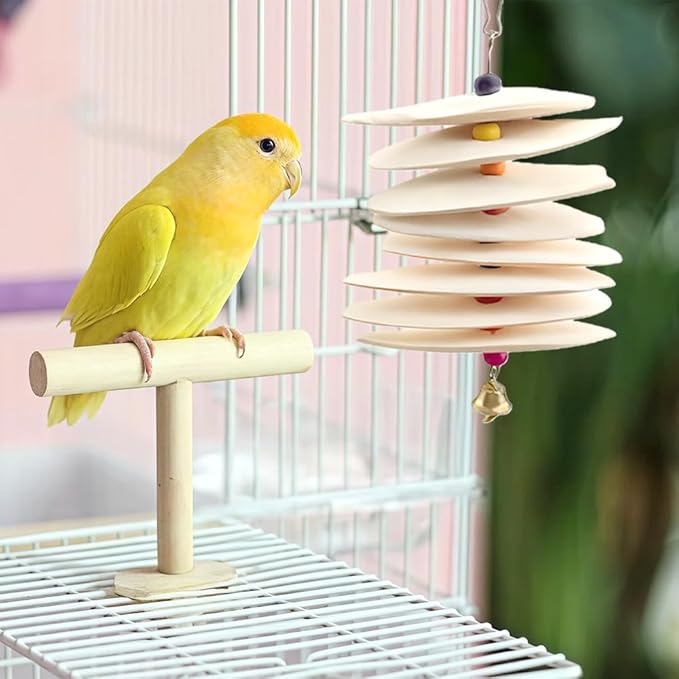 DQITJ 2 Pack Bird Cuttlebone Calcium Supplement Chewing Toy Beak Grinding Stone Natural Bird Toy with Bell for Parakeet Cockatiel Budgie Conure Sharp Beaks (8 Pcs in a Bunch)