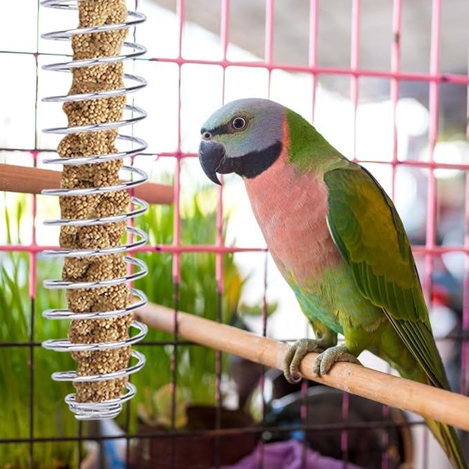 2PCS Bird Food Holders, Stainless Steel Parrot Feeder Basket Bite Resistant Bird Fruit Vegetable Skewer for Parrot Finch Canary Cockatoo