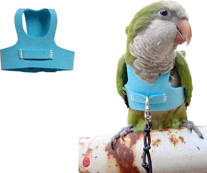 Bird Flight Harness Vest, Parrot Flight Suit with Leash for Parakeets Cockatiels Conures Budgies, Bird Flying Clothes with Rope and Handle for Outdoor Activities Training(2XL,Blue)