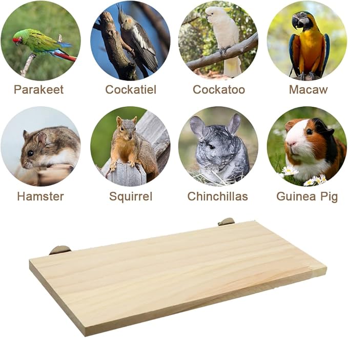 Litewoo Parrot Bird Wood Perch Platform Large Stand Shelf for Birds Budgie Parakeet Cockatiel Conure Cockatoo Macaw African Grey (1PC)