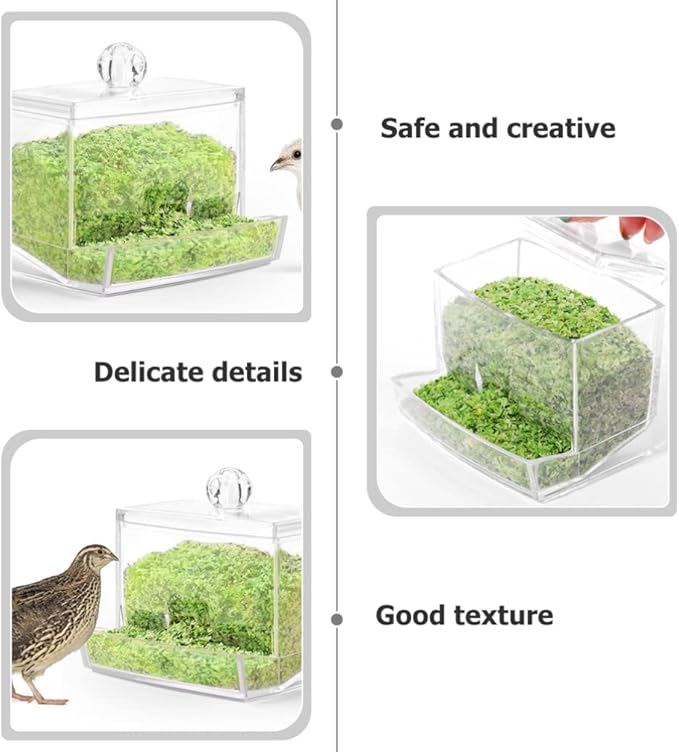 POPETPOP Bird Feeder for Multiple Pets, Transparent Design, 150 oz Capacity