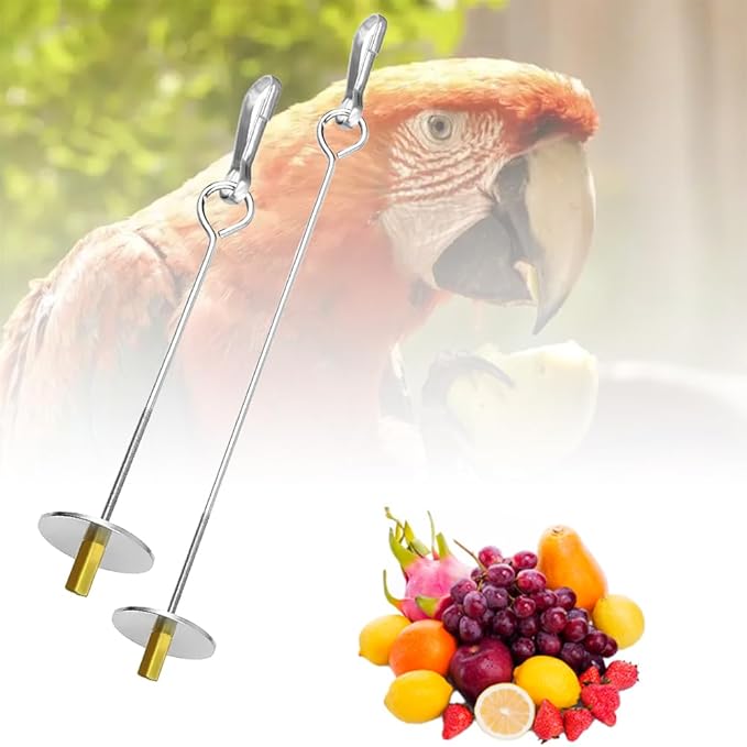 2 Pcs Stainless Steel Bird Skewer Feeder - 6.63"/8.58" Dual-Size Parrot Fruit & Veggie Holder with Chain Durable Foraging Toy for Budgies Parakeets Cockatiels (Chicken & Pet Bird Safe)