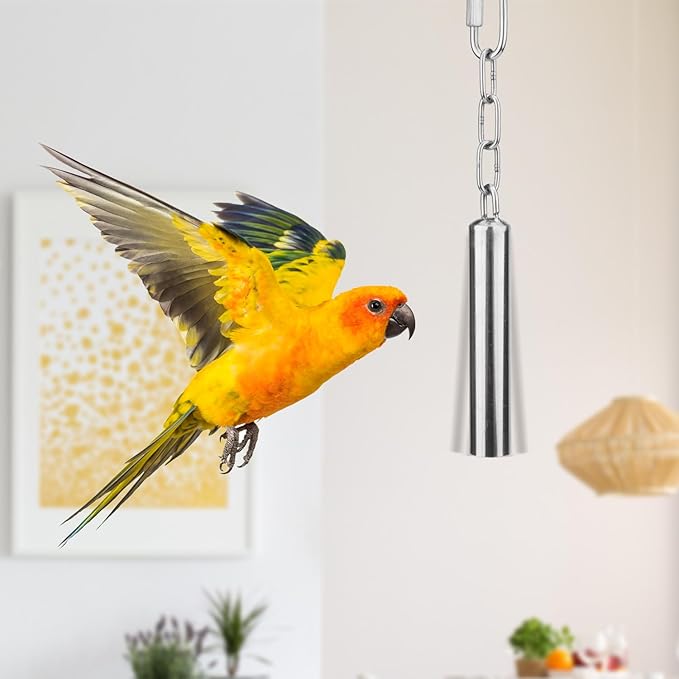 Hypeety Stainless Steel Bell Bird Toys Chew Toy for Parrot, Macaw, African Greys, Small Cockatoo, Parakeet, Cockatiels Heavy Duty Bird Cage Stand Toys (2 PCS-L)