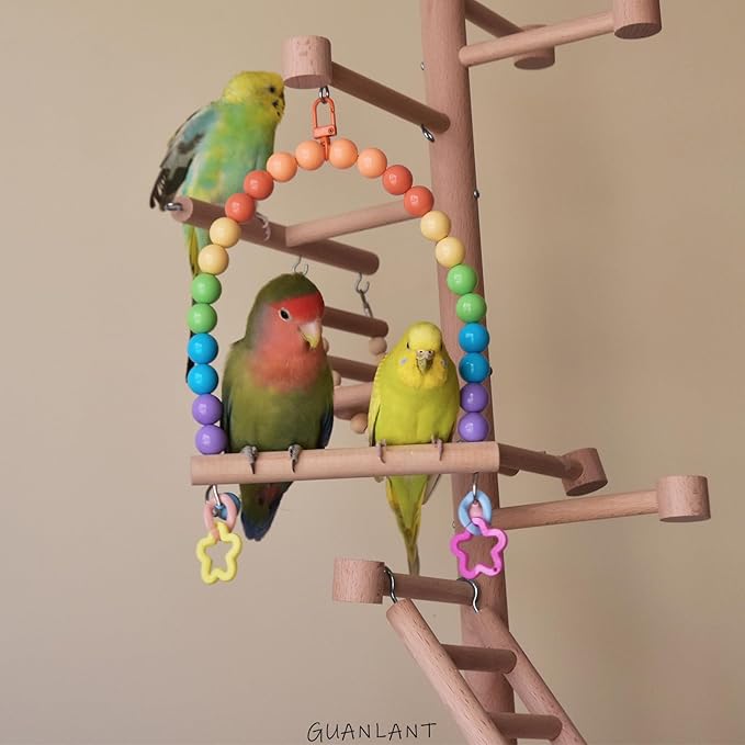 Bird Cage Swings Perch Large Parrot Hanging Toys for Cockatiels, Parakeets Birdcage Wood Stands Rainbow Beads Bell Climbing Training Toy for Lovebirds Conures Budgies Macaws Playground Accessories