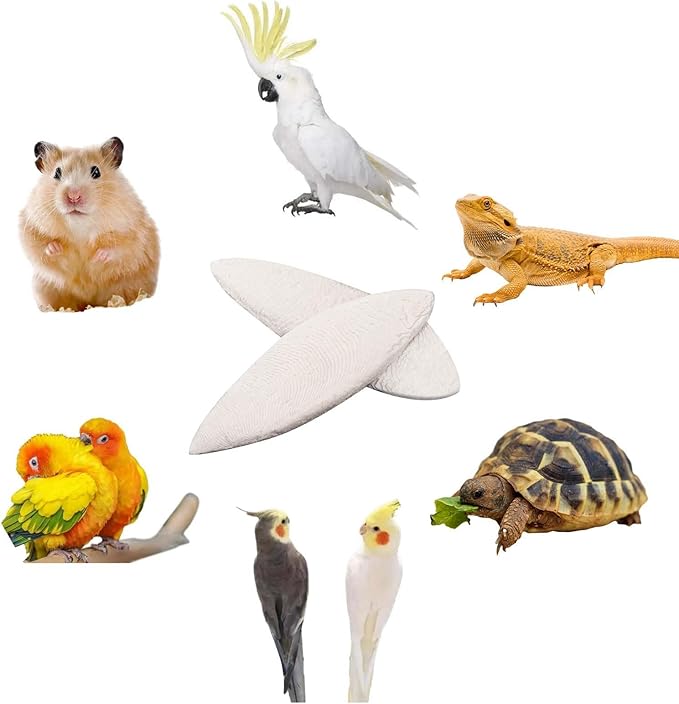 6 Pcs Natural Cuttlebone for Birds Parakeets Pure Cuttlebone Calcium Stone for Parakeets Canaries Cockatiels Tortoise Turtles Cockatiel 11-11.5cm /4.3-4.5”