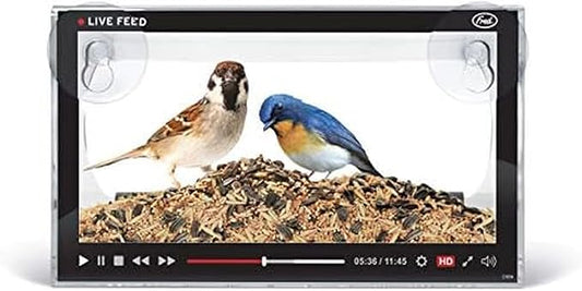 Genuine Fred Live Feed Bird Feeder, Clear