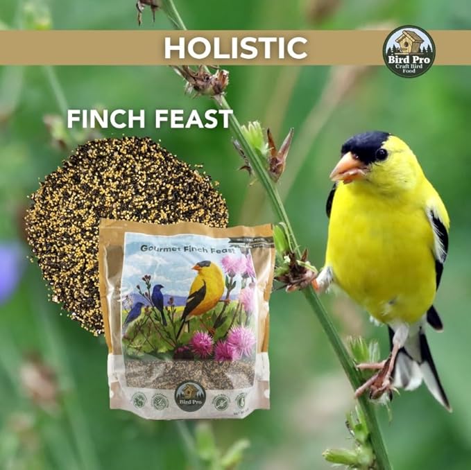 Bird Pro Holistic Bird Seed - Premium Seed for Backyard Feeding (36 Pounds, Gourmet Finch Feast)
