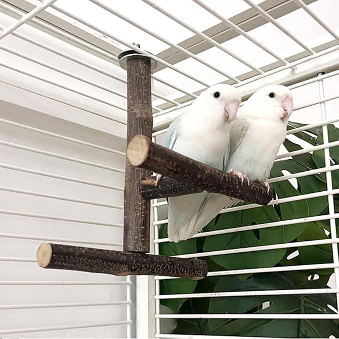 Natural Wood Bird Perches for Cage, Parrot Cage Perch Stand, Cage Accessories, Wooden Platform for Birds, Toys for Parakeets, Cockatiel, Budgie, Conure