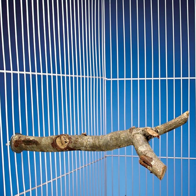 Penn Plax Y-Shaped Wooden Bird Perch, Large