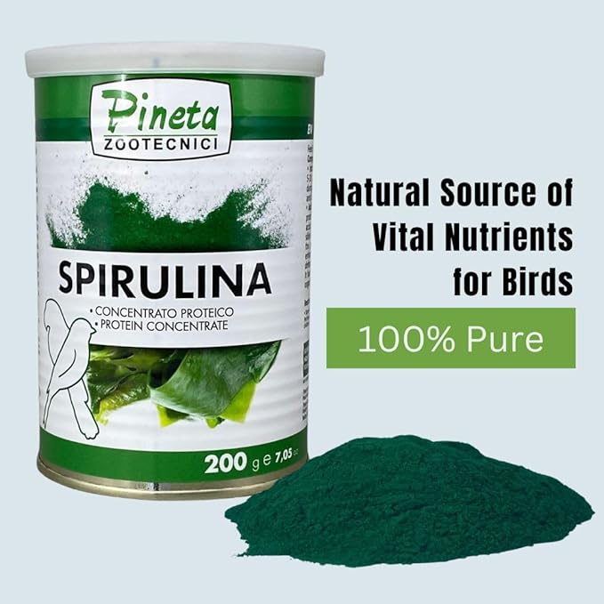 PINETA Spirulina Powder Organic 200g - Spirulina Supplement Bird Food for Canaries and Granivorous Birds - 100% Natural, Immune Support Supplement, Promotes Healthy Molting, Bright Feathers