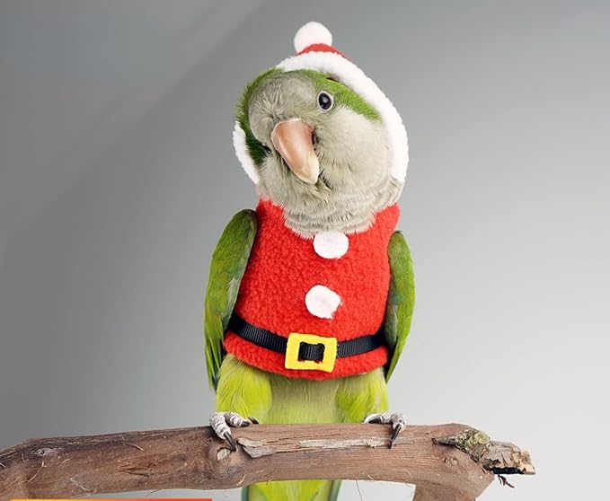 Bird Clothes Birds Flight Suit, Christmas Hoodie for Parrots Cockatiel Sun Conure Christmas Party Cosplay Photo Prop Bird Shirt Small Animals Apparel (with Diaper,Alexandrine)