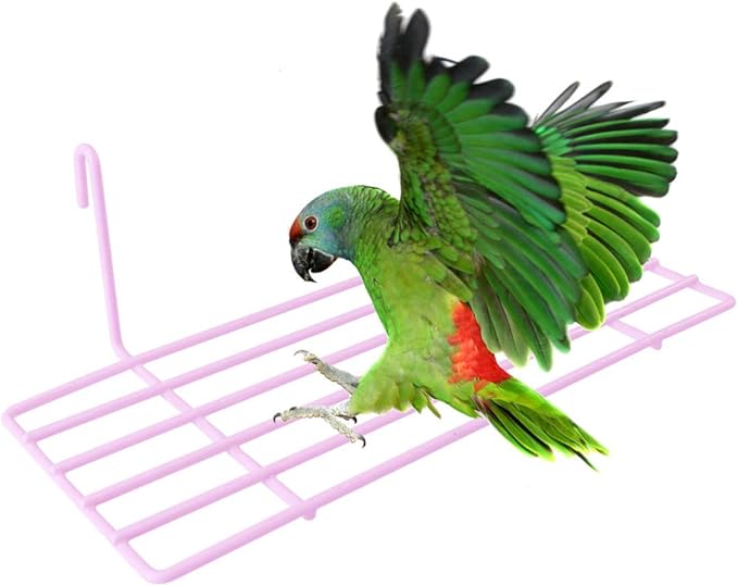 TEHAUX 1pc Iron Frame Shelf for Pet Parrots Sturdy Wall Decoration Hanging Hooks Easy to Install Iron Wall Shelf for Animal Perching and Display