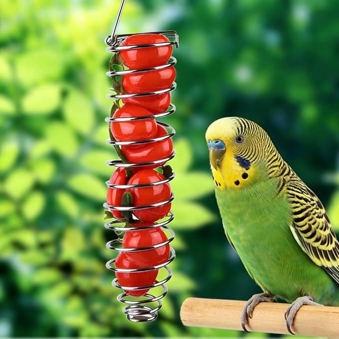 2 pcs Bird Feeding Set, Fruit Stick Feeder for Hanging, Syringe Feeder for Small Animal Food Treats Suitable Parrots Cockatoo Cockatiel