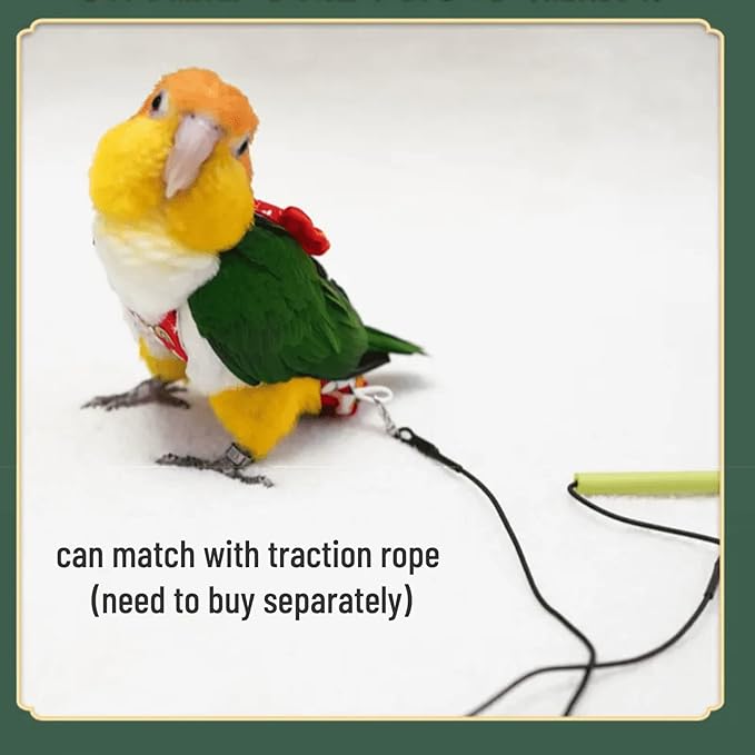 Bird Flight Suits Diapers for Monk Parakeets, Cockatiels, Parrot Clothes, Training Nappy Suit Liners (Large, Red-A)