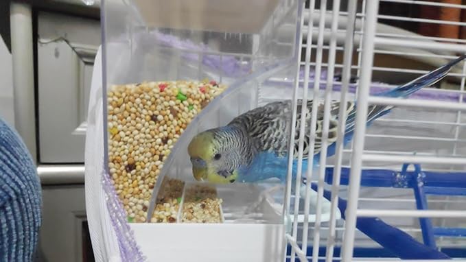 Bird AutomaticAuto Feeder No Mess Feeding Station Acrylic Transparent Clear Acrylic Suitable for Parakeet, Canary, Budgie, Cage, Aviary
