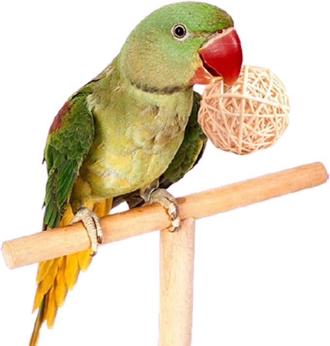Large Bird Toys, Parrot Chew Toys Bird Toys, 1.97 inch 20 Pcs Rattan Wicker Balls Parakeet Chewing Toys, for Budgies Conures Hamsters Bunny Toy, Decoration for DIY Craft Party Wedding