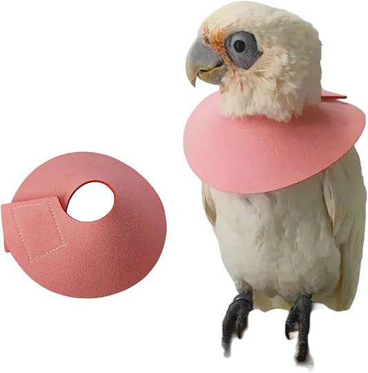 Pet Parrot Anti-bite Elizabethan Collars, Anti-Grab Feather Plucking Wound Healing Safety Collar, Protective Recovery Cones for Budgerigar Lovebird Cockatiel Cockatoo (Medium)