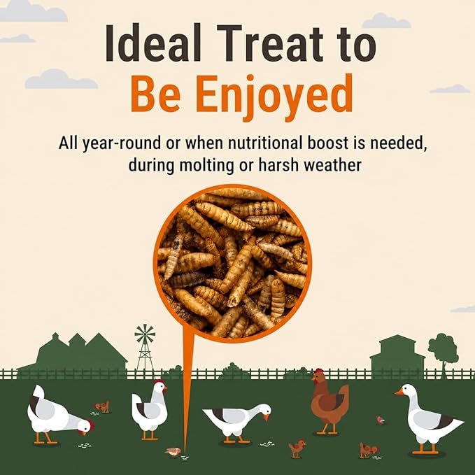 Dried Black Soldier Fly Larvae for Chickens, 85X More Calcium Than Mealworms, High Protein BSF Grub Chicken Feed Treats for Poultry, Hens, Ducks and Wild Birds, 10lb
