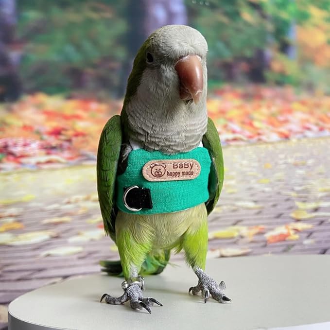 Bird Flight Harness Vest, Snap-Fastener Design Harness Vast, Parrot Flight Suit with Leash for Parakeets Budgies, Bird Flying Clothes with Rope and Handle for Outdoor Activities Training, Anti Bite