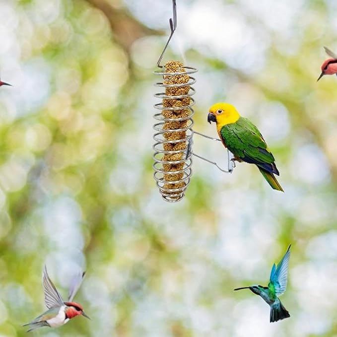 Bird Foraging Feeder, Food Fruit Basket Holder, Stainless Steel Birds Food Holder for Parakeet Cockatiel African Grey