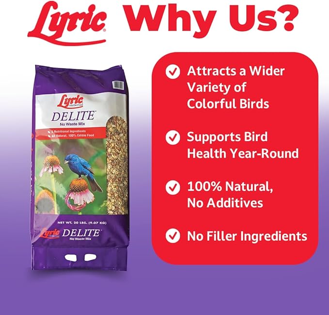 Lyric Delite Wild Bird Seed for Outside Feeders - No Waste Bird Food, Shell-Free Nuts & Seeds Mix, Attracts Buntings, Chickadees & Finches, 20 lb Bag