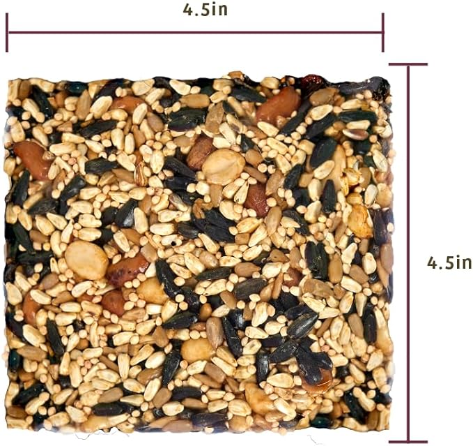 Birds Choice Trail Blazin' Spicy Bird Seed Cake | Squirrel Proof Wild Bird Food with Red Pepper | Black Oil Sunflower Seeds, Peanuts, Safflower & Pecans | High Protein Bird Feeder | 0.5 lbs (6-Pack)