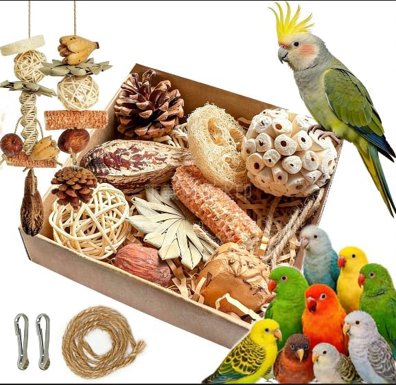 2 in 1 Parrot Toys, Parakeet Foraging Box DIY Hanging String with Comes with 2 Hooks Bird Toy for Parakeets,Cockatiels,Conures,Love Birds Cage Accessories for Small to Medium Birds