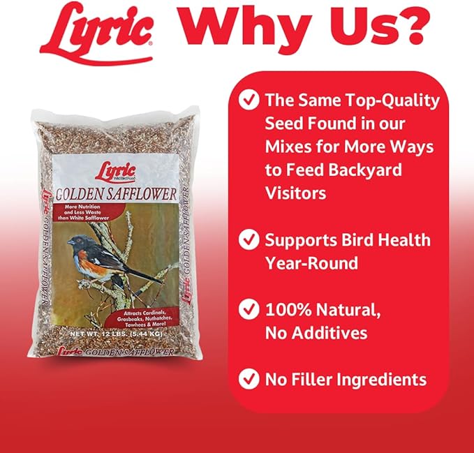 Lyric Golden Safflower Bird Seed for Outside Feeders - Attracts Cardinals, Chickadees, Woodpeckers & More, 12 lb Bag
