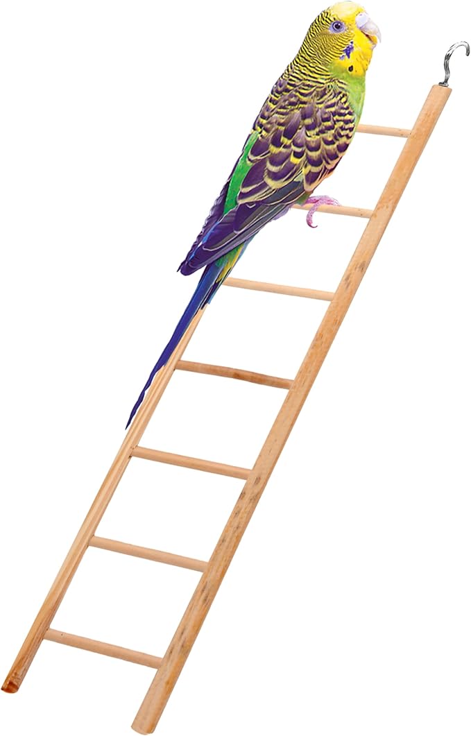 Penn-Plax 7-Step Wooden Bird Ladder | Provide Exercise and entertainmet for Your Bird | Looks Great | Durable and Safe