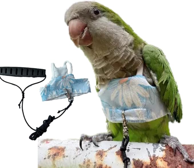 Bird Flight Harness Vest, Parrot Flight Suit with Leash for Parakeets Cockatiels, Bird Flying Clothes with Rope and Handle for Outdoor Activities Training (Blue with Leash,Small)