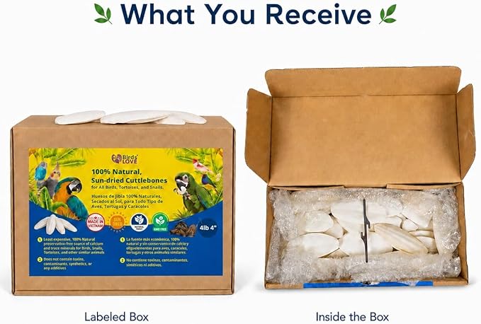 Birds LOVE 3.5-4″ Cuttlebones for Birds – 100% Natural Sun-Dried Calcium Carbonate Mineral Supplement – for Parakeets, Budgies, Cockatiels, Finches & Canaries – 4 lb with Holder – Made in Vietnam