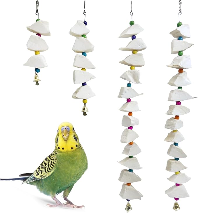 BNOSDM Bird Toys with Cuttlebone 4 Pack Hanging Cuttle Bone Chew Toys Natural Bird Beak Grinding Stone Parakeet Calcium Toys Bird Cage Accessories for Budgies Cockatiels Lovebirds Conures Parrots (12)